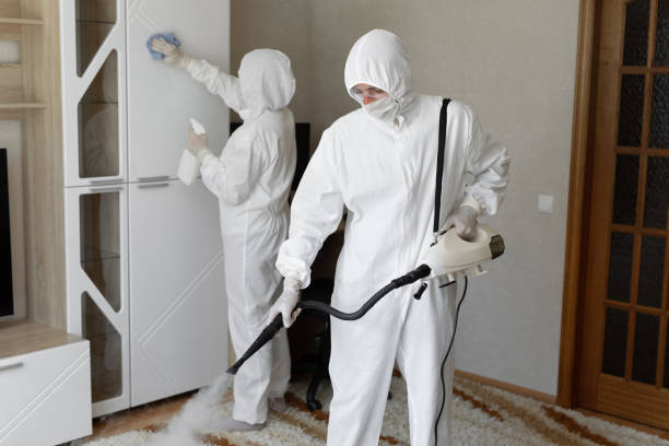 Trusted Sewage Cleanup service in Petersburg, OH - Four Month Blood Cleanse